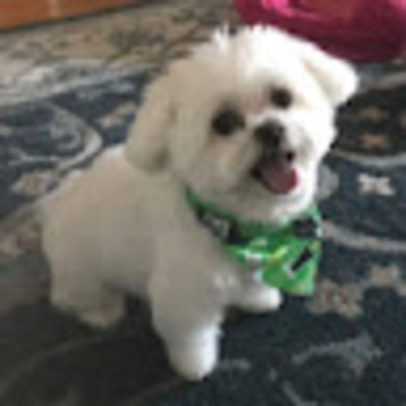 Profile Picture of Vanessa Langdon (@blondie3110) on Poshmark