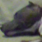 Profile Picture of Corey Holt (@coreyholt6472) on Youtube