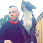 Profile Picture of Stuart Hutchison (@stuart_hutchison_1) on Instagram