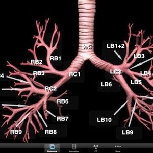 Profile Picture of Vijay (@vij_kashyap113) on Myspace