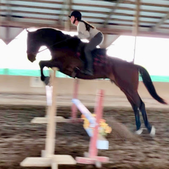 Profile Picture of Ashley Lansaw (@ashweenah3707) on Poshmark