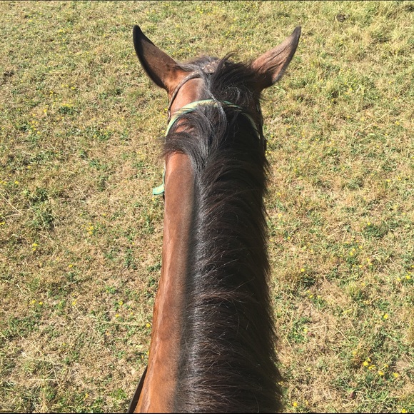 Rae Anne - Poshmark Profile Picture of Rae Anne (@rae_anne) on Poshmark