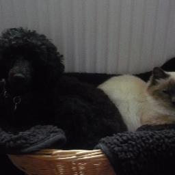 Profile Picture of Sylvia Witt (@sylviawitt11) on Twitter