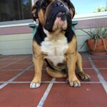 Profile Picture of Jeffrey Osborne (@jdgosbo1969) on Instagram