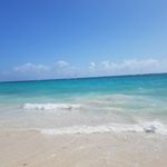 Profile Picture of LaTonya Watson-Hollis (@tonyahollis_80) on Instagram