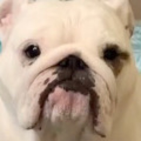 Profile Picture of Divinia Poulliot (@diviniap) on Poshmark