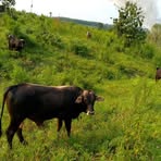 Profile Picture of Luis Suruma Ajon (@Luis-Suruma-Ajon) on Facebook