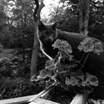 Profile Picture of Jesse Isom (@isom_jesse) on Instagram