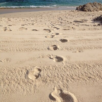 Profile Picture of Melissa Scully (@MelScully) on Twitter