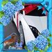 Profile Picture of Adam Keovong (@adamkeovong) on Pinterest