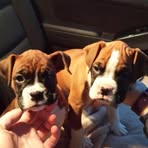 Profile Picture of Carla Brungart (@carla.brungart) on Facebook