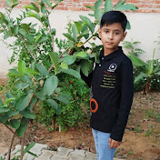 Profile Picture of Rohit Yadav (@RohitYadav-db9kc) on Youtube