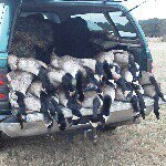 Profile Picture of Clint Warren (Philippians4:13) (@clint_warren_78) on Instagram