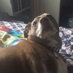 Profile Picture of sadie (@sadiejeanmattson) on Instagram