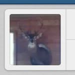 Profile Picture of chapmancooper (@chapmancooper) on Instagram