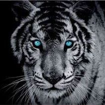 Profile Picture of John Jone (@john.jone.315) on Facebook