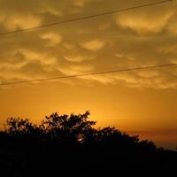 Profile Picture of Constance Szeszko (@constance-szeszko) on Quora