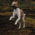 Profile Picture of Paul Baumbach (@broderick.s_tiedemann) on Instagram