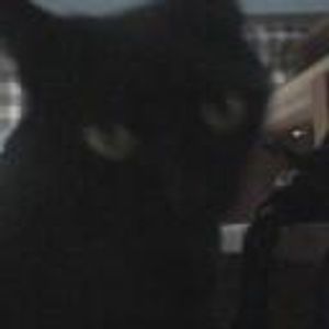 Profile Picture of Ted Dd (@319898628) on Myspace