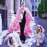 Profile Picture of stevie_hicks_ (@stevie_hicks_) on Instagram