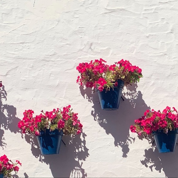 Profile Picture of Karine Bitton (@bittonkarine) on Poshmark