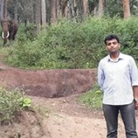 Profile Picture of Parichay Perikal (@parichay-perikal) on Quora