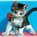 Profile Picture of Muriel Sybil Alarcón López (@murielsybilalarcon) on Instagram