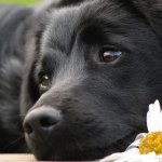 Profile Picture of Megan Coyle (@megancoyle910) on Instagram