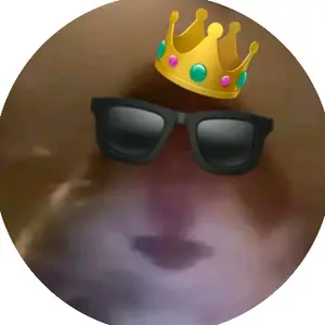 Profile Picture of Márki farkas (@marki_farkas) on Tiktok