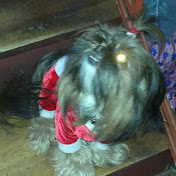 Profile Picture of Roxy Rox (@roxiroman) on Youtube