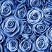 Profile Picture of Marie Bouchard (@marie.bouchard.35912672) on Facebook