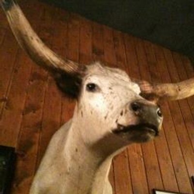 Profile Picture of Chris Nye (@TheGtLeonardo) on Twitter