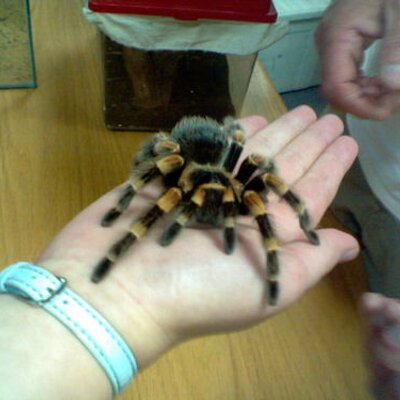 Profile Picture of Mary Hooks (@marybruno) on Twitter