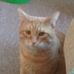 Profile Picture of Susan Rondeau (@susan.rondau.54) on Facebook