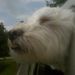 Profile Picture of Marilyn Hicks (@mahicks317) on Pinterest