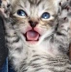 Profile Picture of Braddock Niyo Samuel (@jeanette.wasam) on Facebook