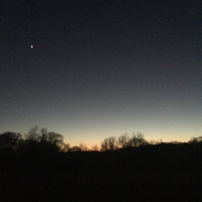 Profile Picture of Daniel Sugrue (@daniel_sugrue) on Twitter