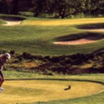 Brian - Instagram Profile Picture of Brian (@heidt.76347) on Instagram