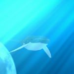Profile Picture of Scott Sarver (@axolotlfish) on Instagram