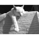 Profile Picture of Leonard Hall (@latestedho) on Instagram