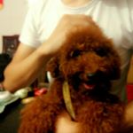 Profile Picture of 陈培杰 (@peijie_chen) on Instagram