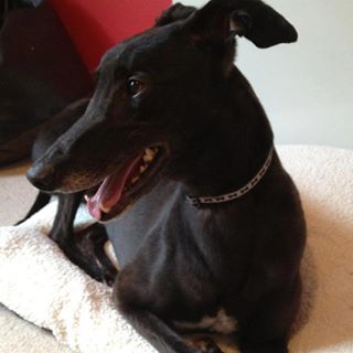 Profile Picture of Geoffrey Crescent (@geoffrey.crescent) on Facebook