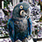 Peter Spencer - Flickr Profile Picture of Peter Spencer (@logan spencer) on Flickr