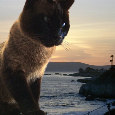 Profile Picture of James Jong (@defeatdefeat) on Twitter