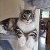 Profile Picture of Denise Bastien (@denise.bastien.9883) on Facebook