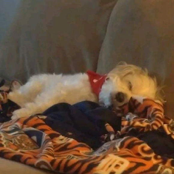 Profile Picture of Stacy Severyn (@dtg73) on Poshmark