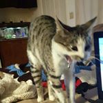 Profile Picture of Oliver Stewart (@stewart.oliver) on Instagram