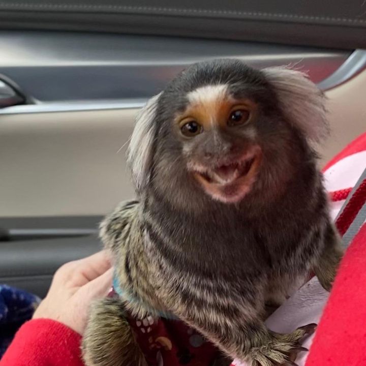 Profile Picture of Troy Conley (@@troyconley1) on Tiktok