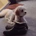 Profile Picture of David Pedersen (@david.pedersen.756) on Facebook