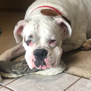 Profile Picture of Jesse Herrold (@jesseherrold) on Instagram